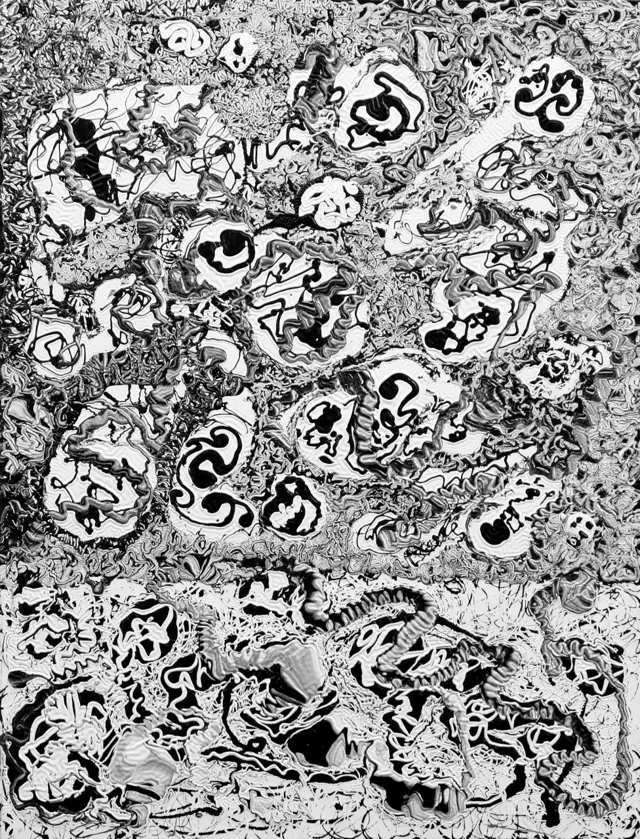 "Black & white", painting by Donna White