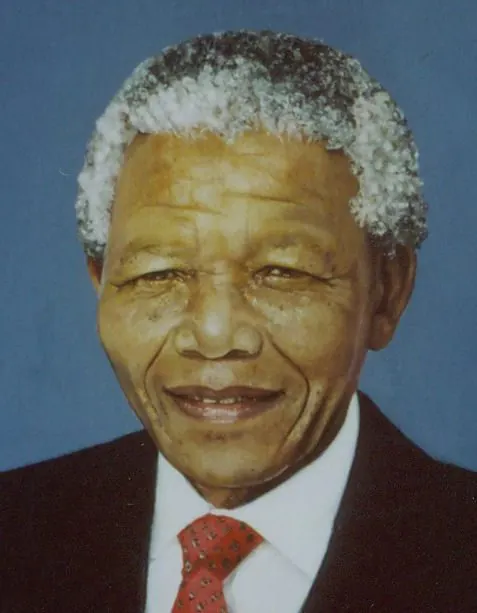"Mandela", painting by Donna White