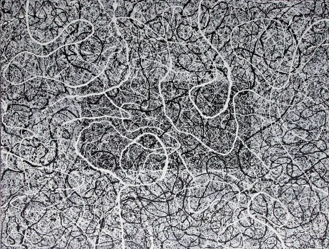 "Taking a line for a walk", painting by Donna White